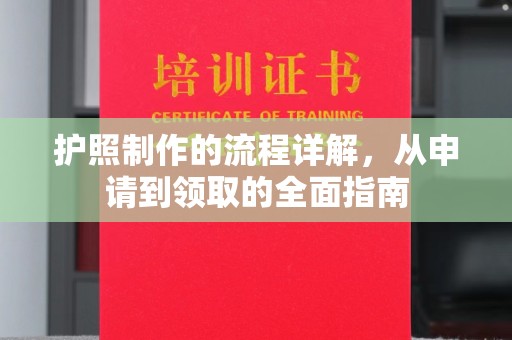 杨陵护照制作的流程详解，从申请到领取的全面指南