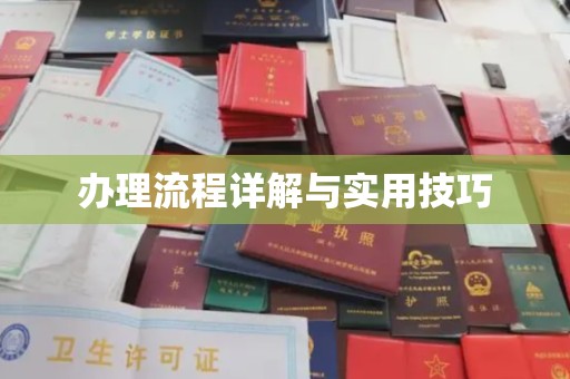 杨陵办理流程详解与实用技巧