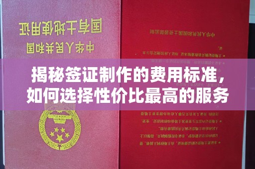 杨陵揭秘签证制作的费用标准，如何选择性价比最高的服务？