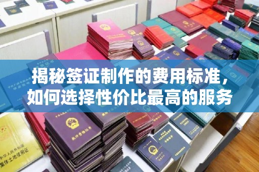 杨陵揭秘签证制作的费用标准，如何选择性价比最高的服务？