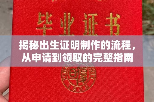 杨陵揭秘出生证明制作的流程，从申请到领取的完整指南