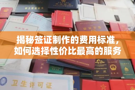 杨陵揭秘签证制作的费用标准，如何选择性价比最高的服务？